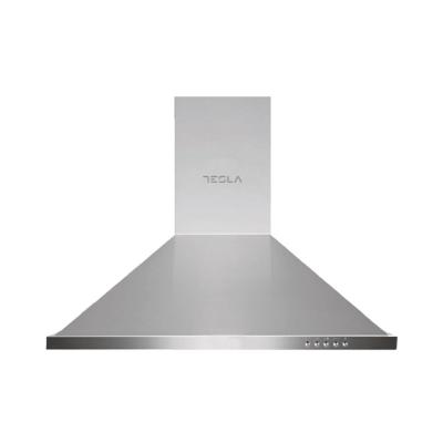 Tesla DC600SX Kaminski